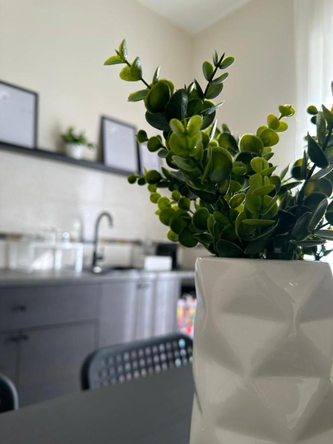 Diverso Apartment Caiazzo 外观 照片